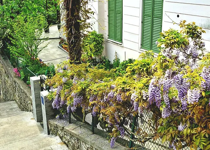 Soba U Opatiji Na Lipovici 4* Opatija