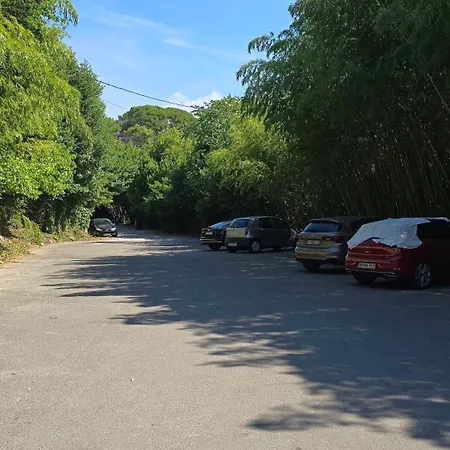 Casa de hóspedes Soba U Opatiji Na Lipovici Opatija